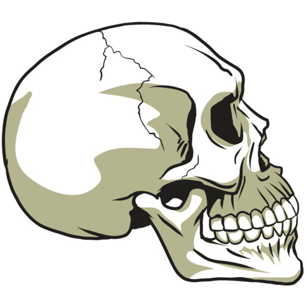 AR24 SKULL 12 RQC Thumbnail