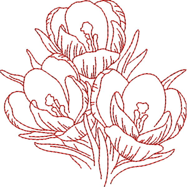 FP161 Thumbnail