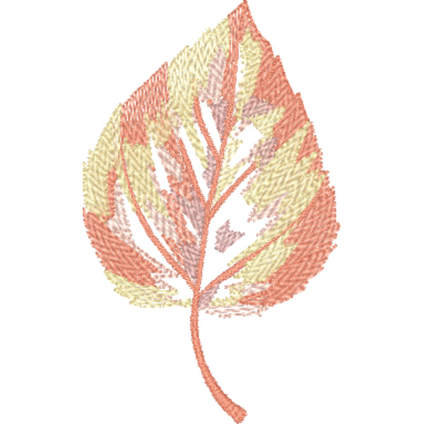 FP050 Thumbnail